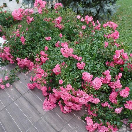 Maison Marysa เมรินแญค ภายนอก รูปภาพ