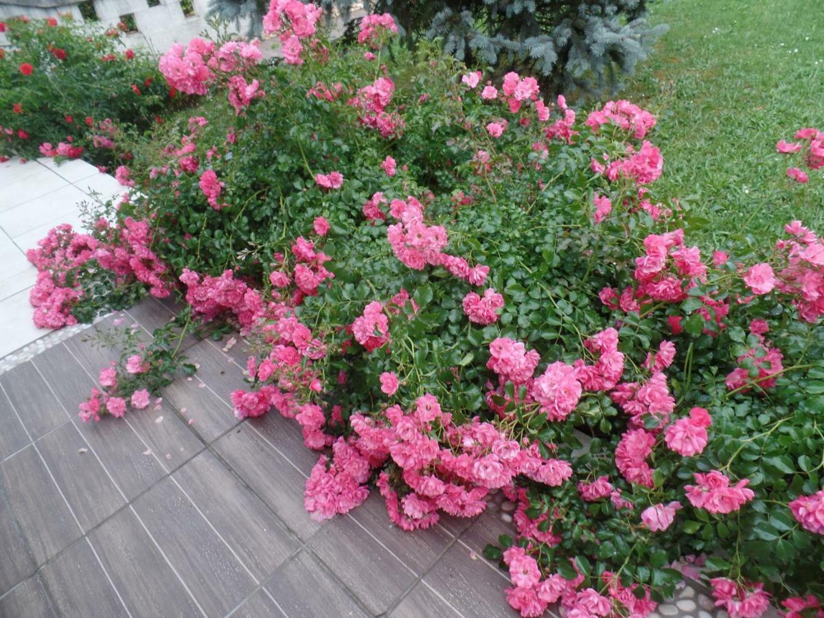 Maison Marysa เมรินแญค ภายนอก รูปภาพ